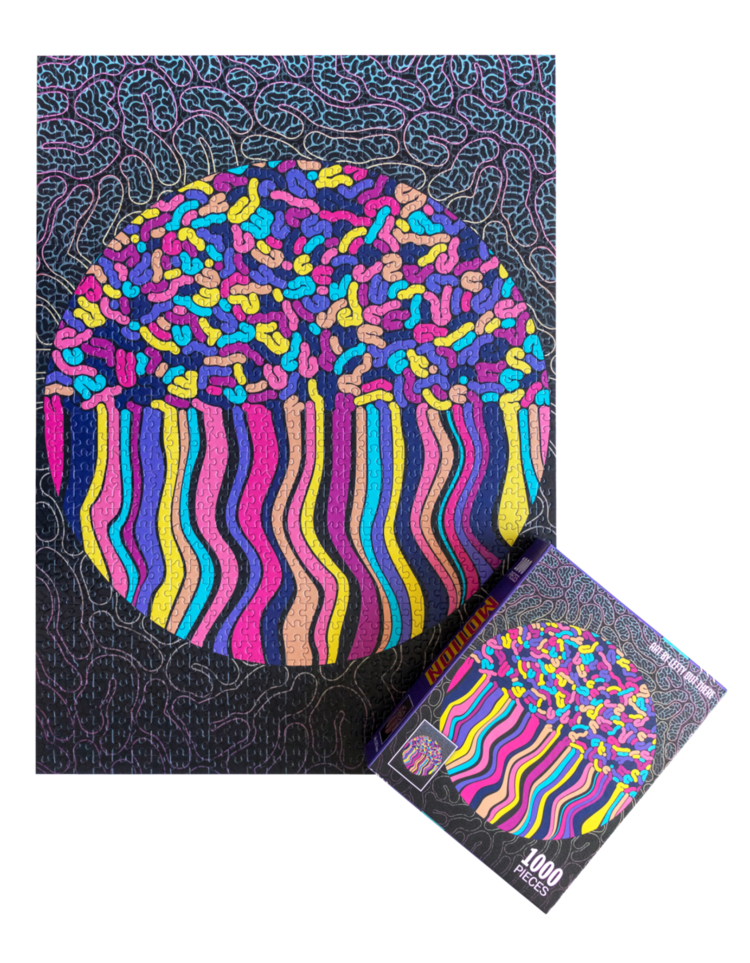 Motion Puzzle