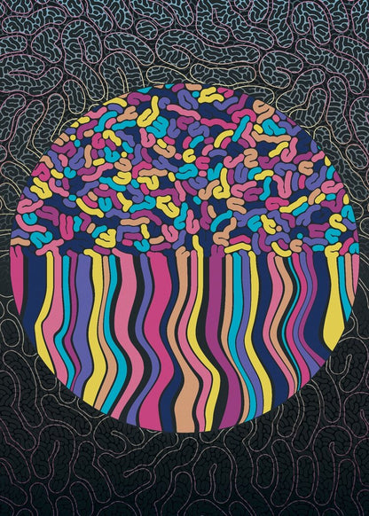 Motion Puzzle