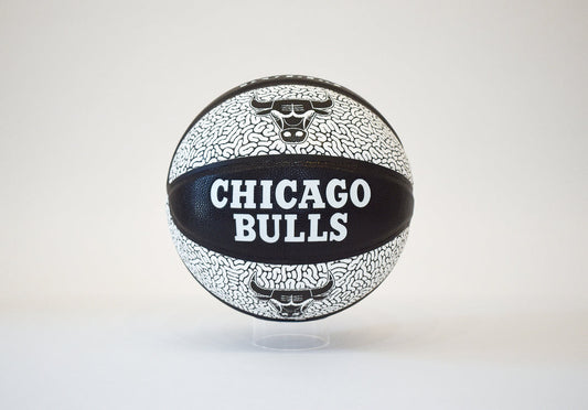 Black & White Chicago Bulls Basketball