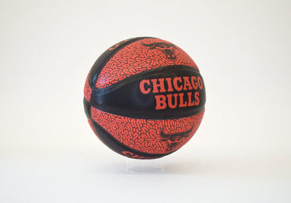 Red & Black Chicago Bulls Basketball